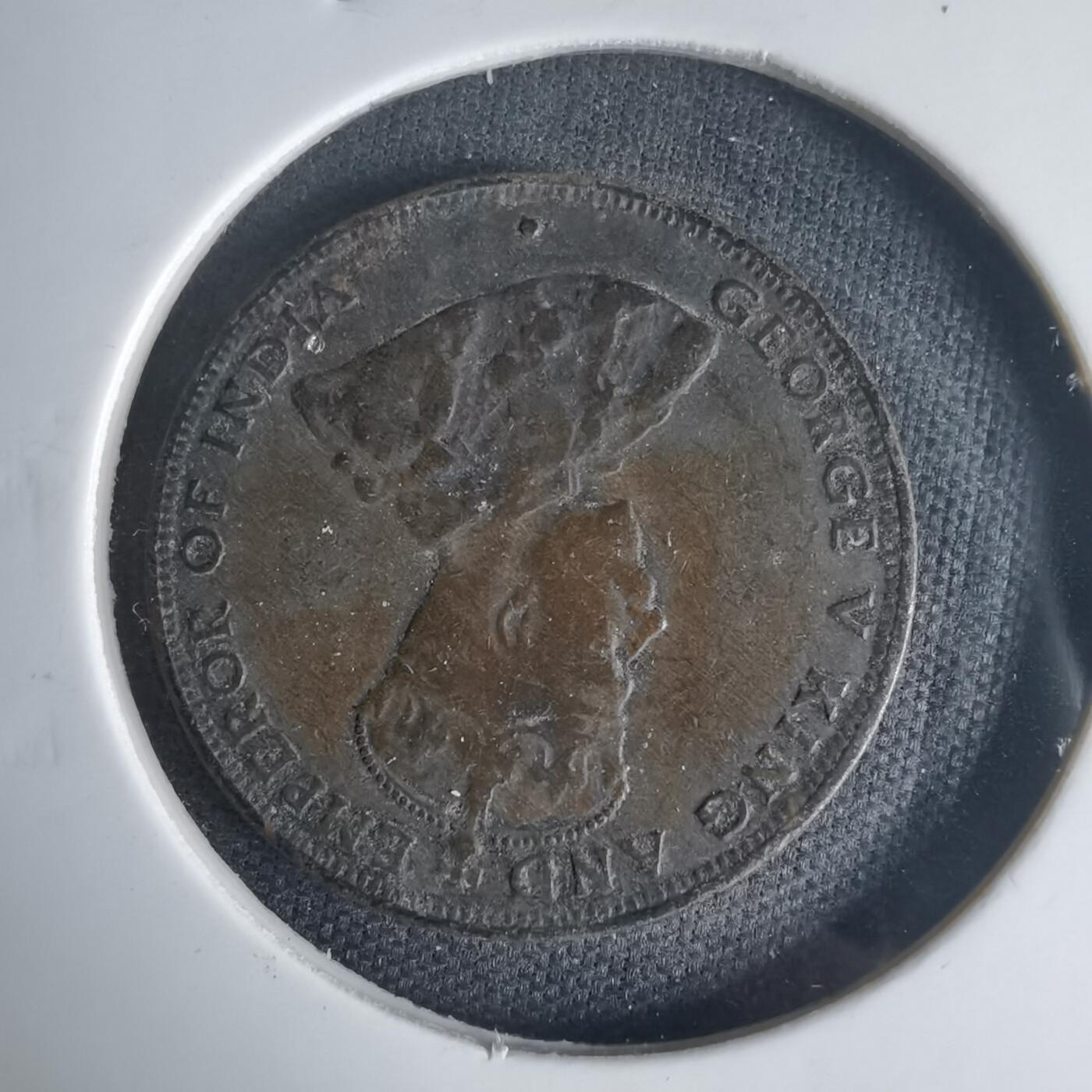 沼泽如烟--第1013场