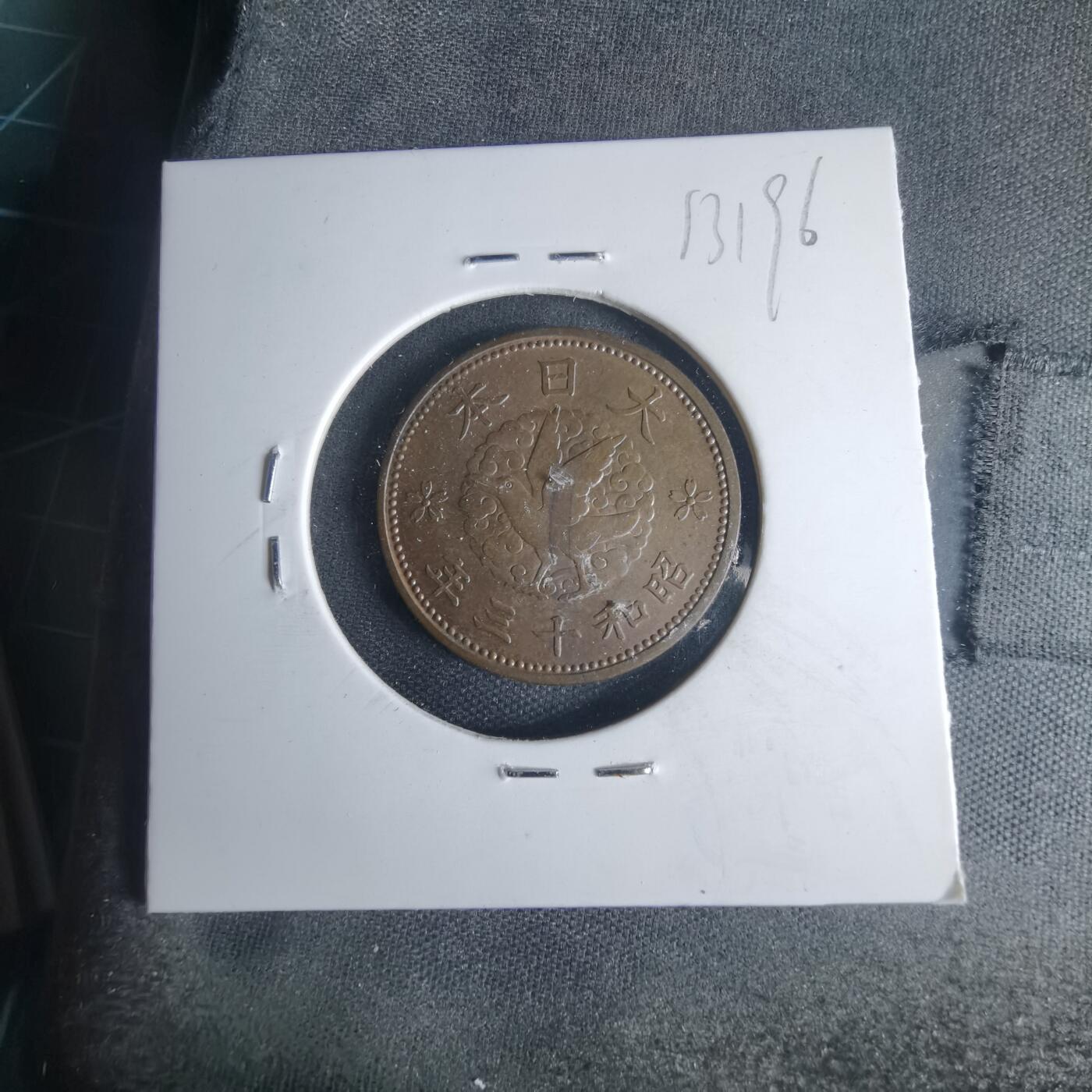 沼泽如烟--第1013场