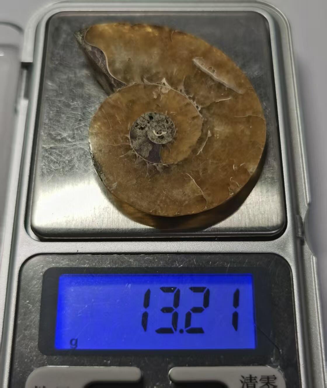 七河·世界世界币章杂件小拍（总第40期） 藏家出品 X765（4）马达加斯加中生代菊石化石切片一件 本件拍品由合作藏家邮寄