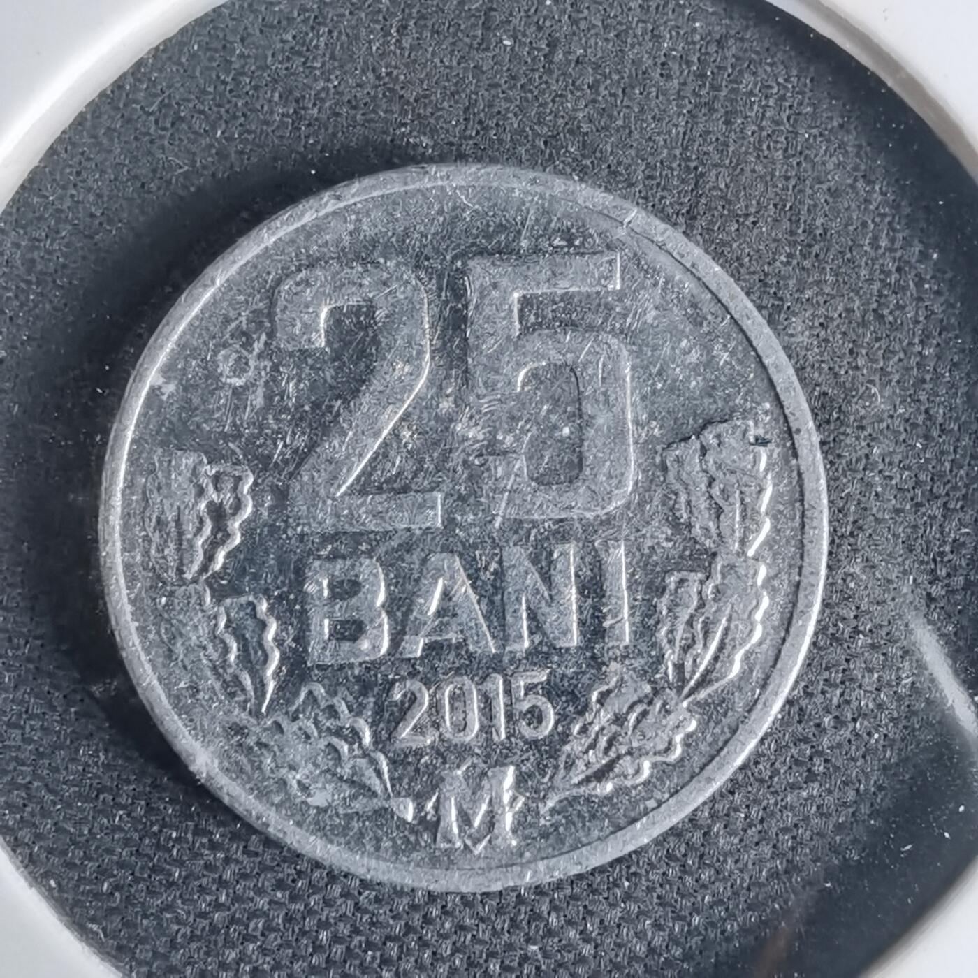 沼泽如烟--第1013场