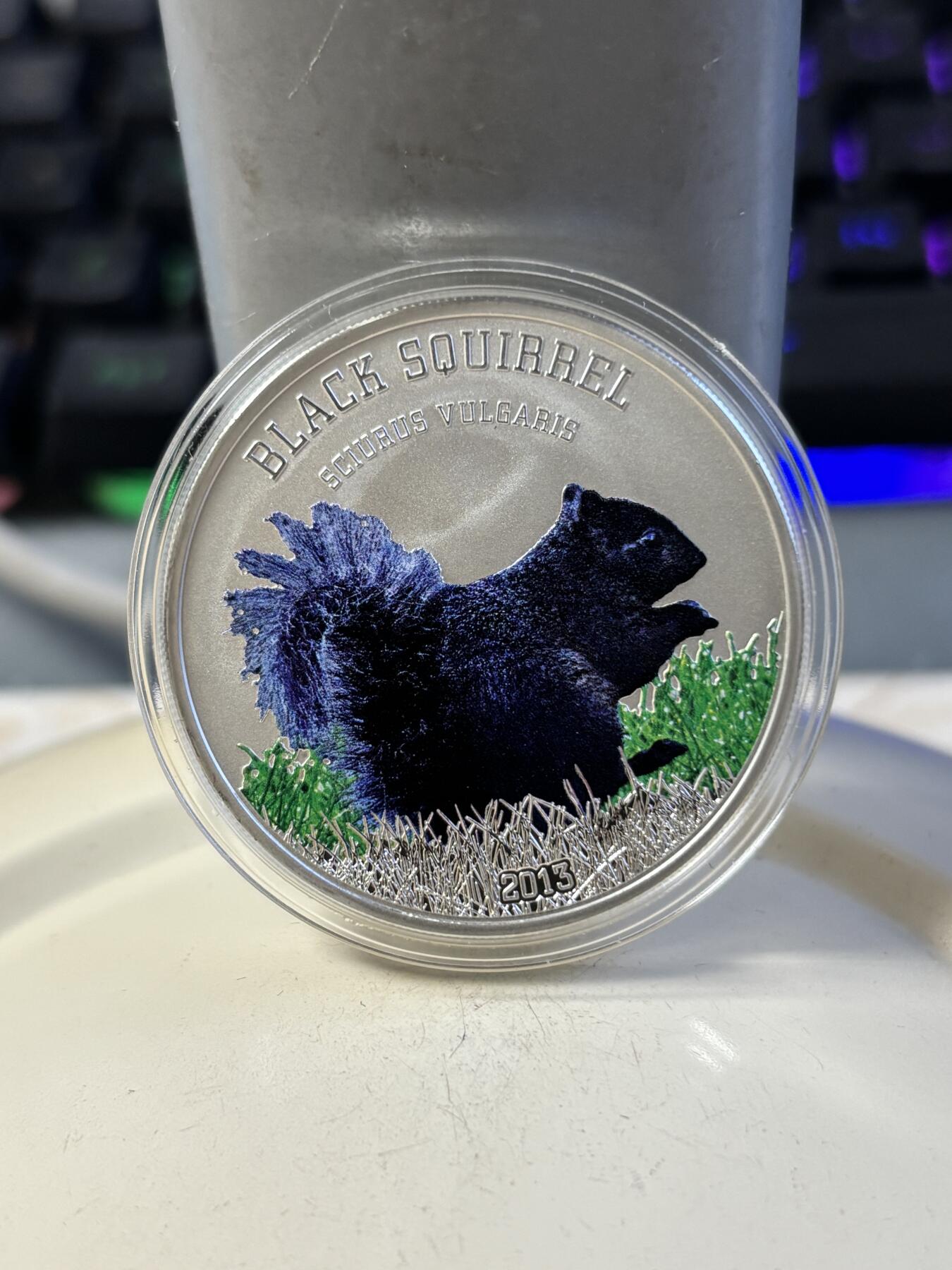 第192期拍卖 库克2013年珍稀动物黑松鼠彩色精制银币，20克，925银，发行999枚