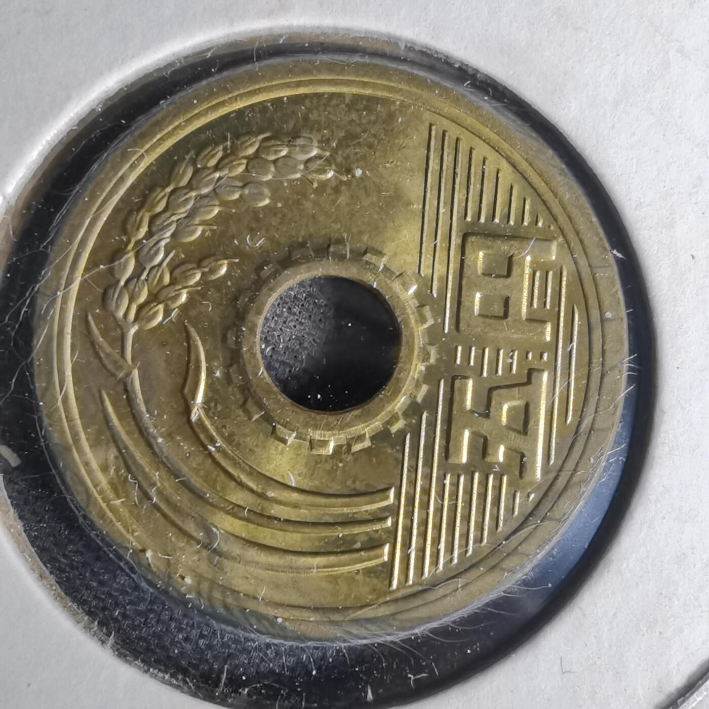 沼泽如烟--第1012场 昭和五十三年五元