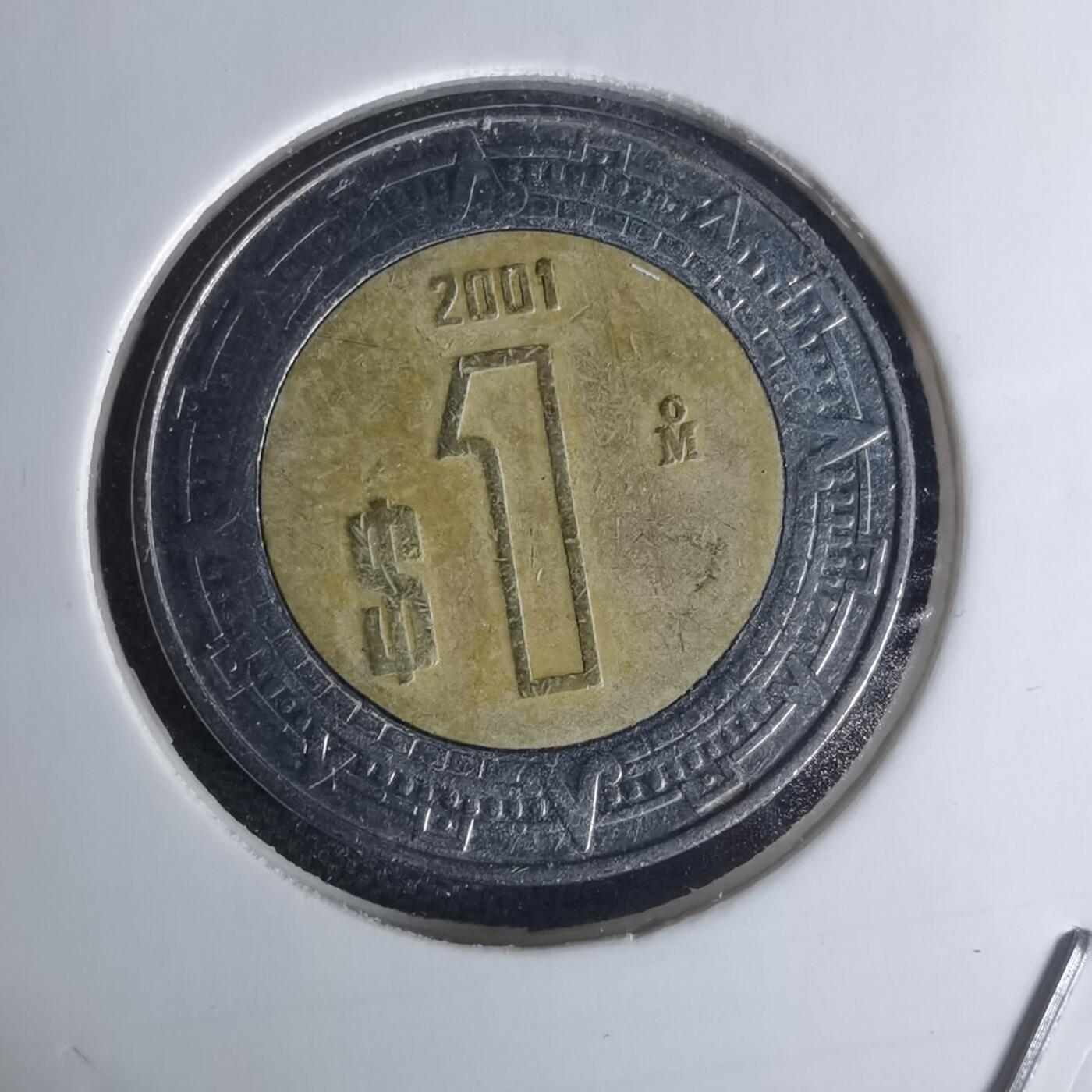 沼泽如烟--第1012场