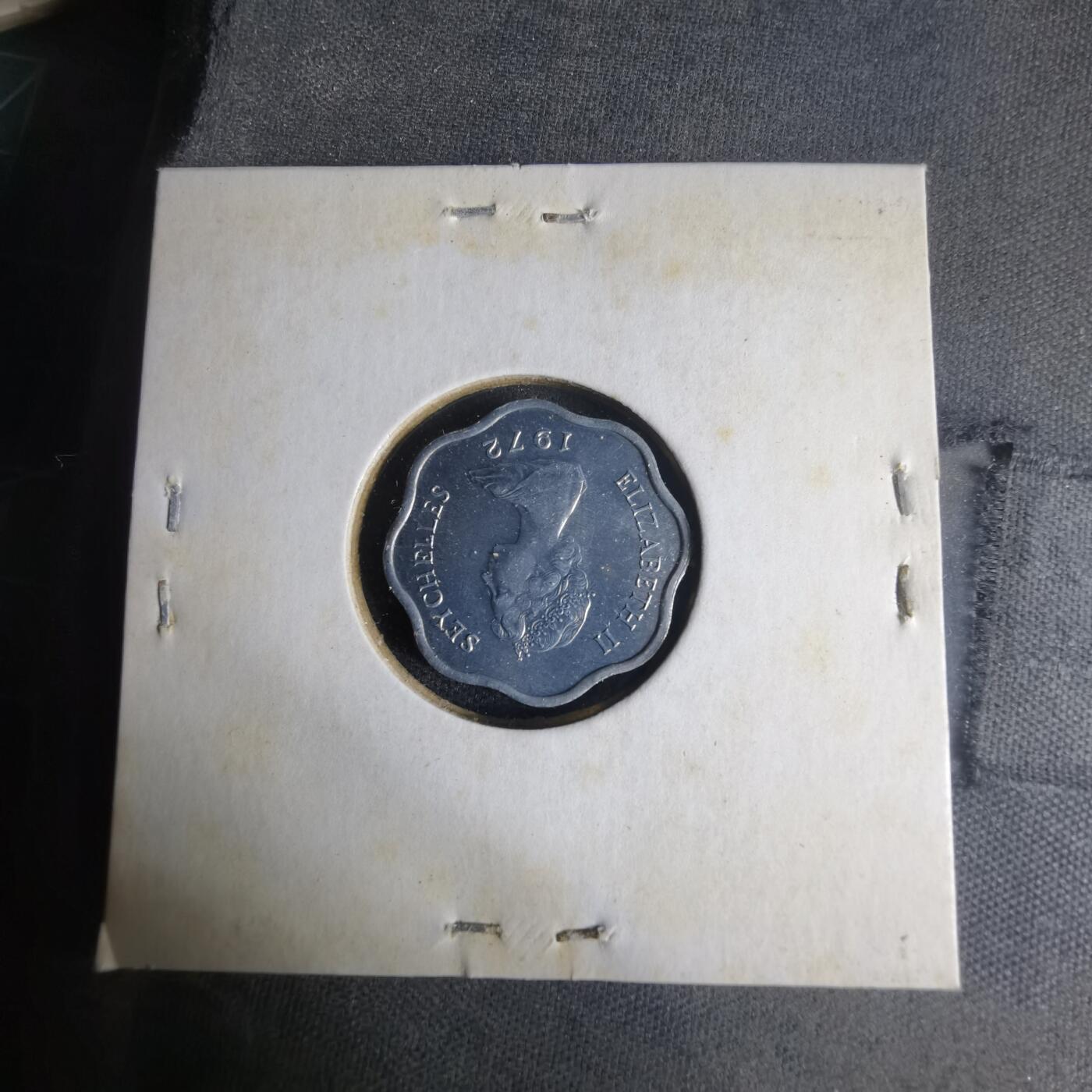 沼泽如烟--第1013场