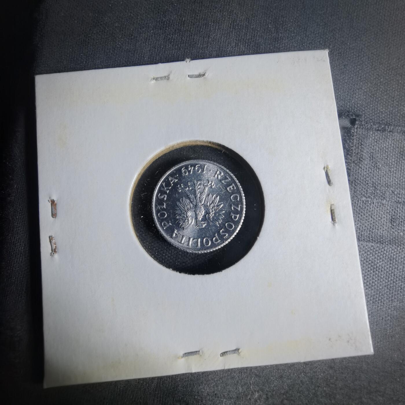 沼泽如烟--第1013场