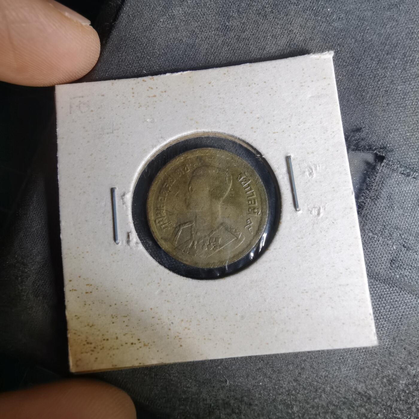 沼泽如烟--第1012场 泰国