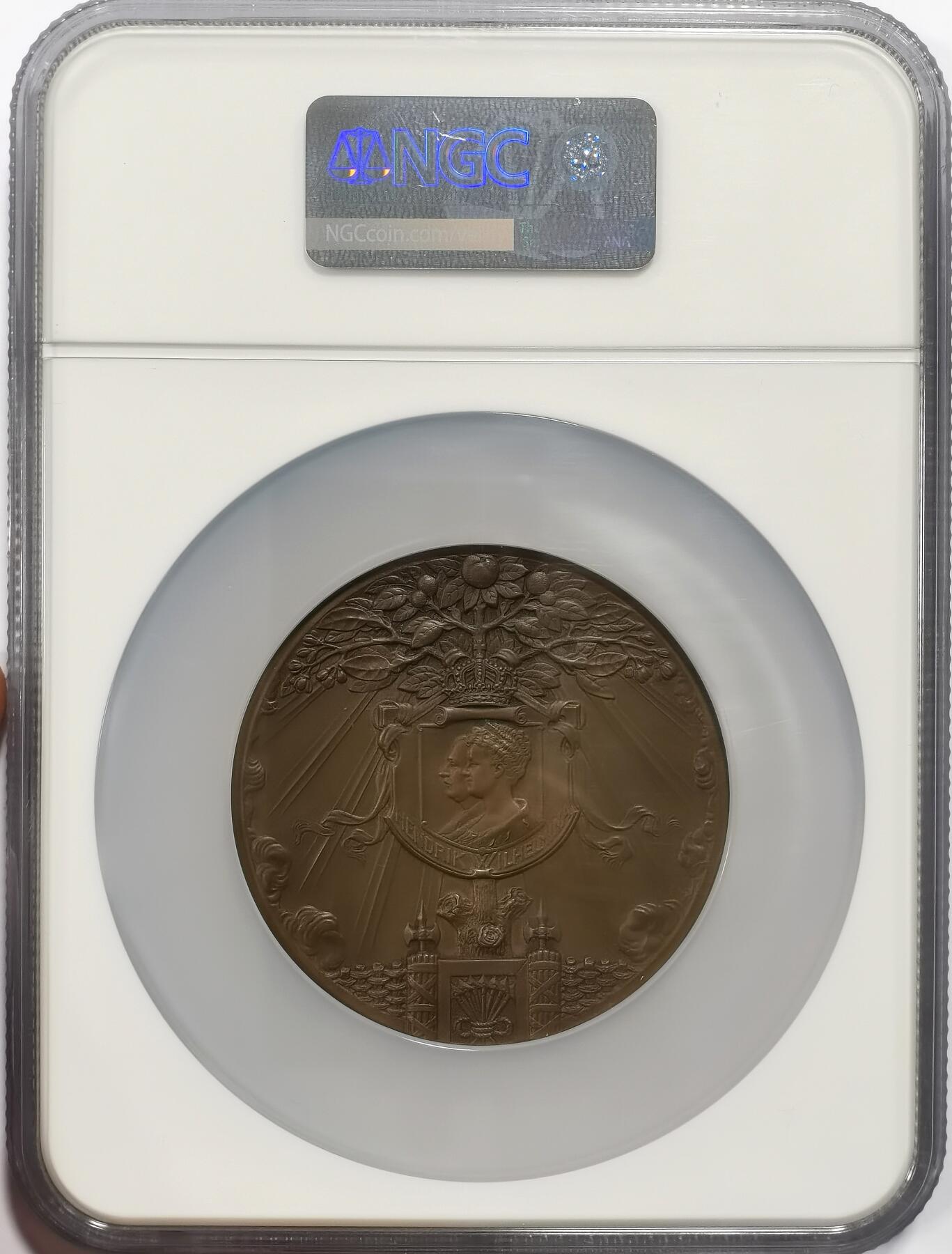 博洋堂世界钱币拍卖第163期（全场包邮） NGC MS63BN 荷兰1909年朱莉安娜女王诞生纪念大铜章，典型新艺术风格