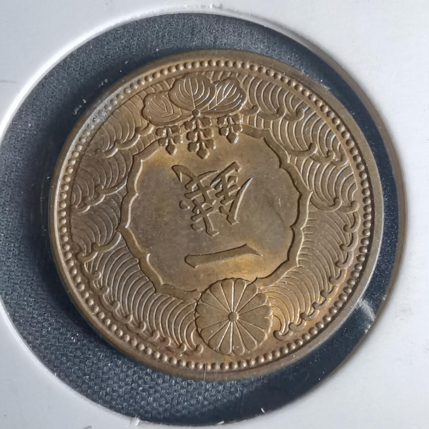 沼泽如烟--第1013场