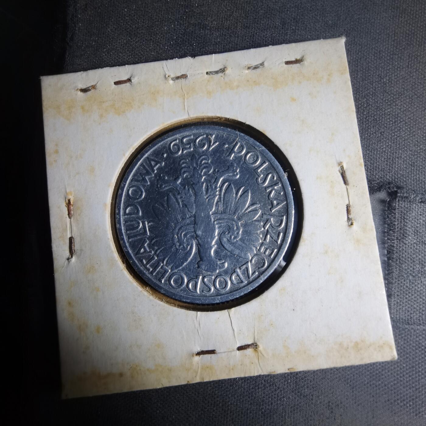 沼泽如烟--第1013场