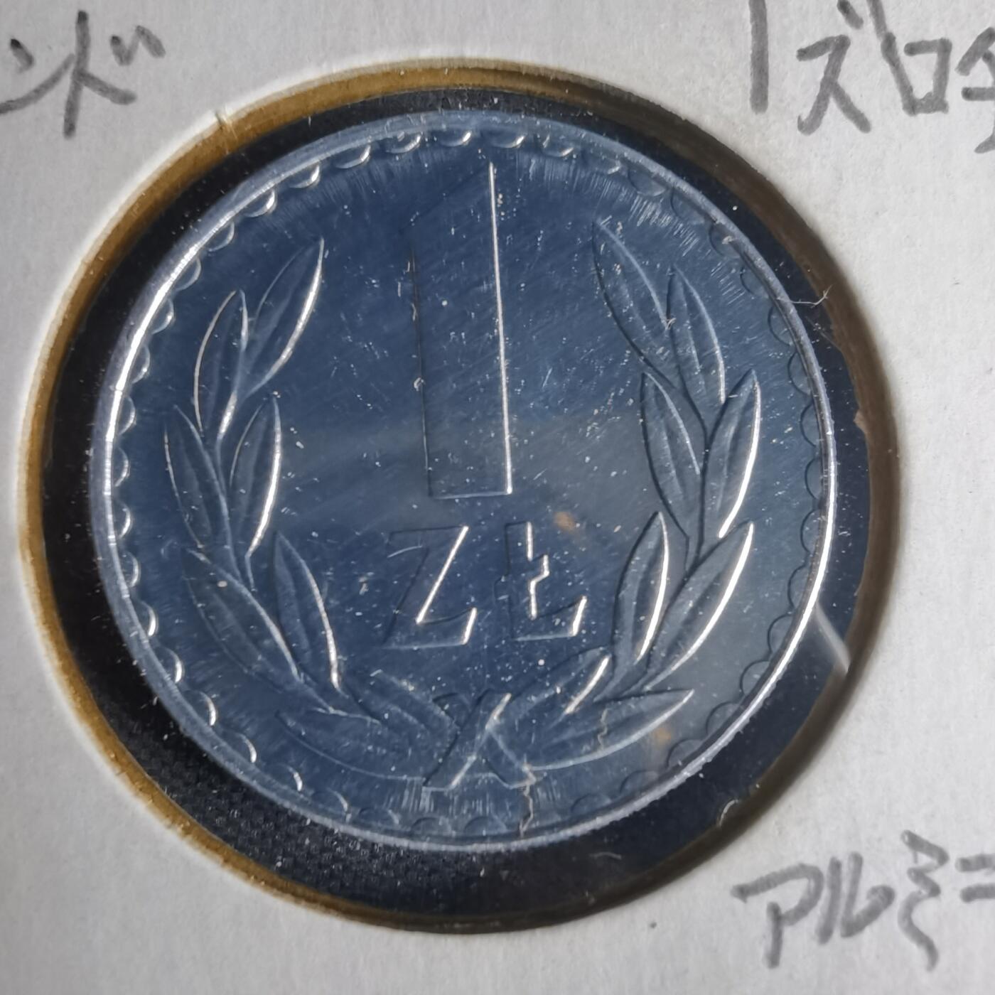 沼泽如烟--第1013场