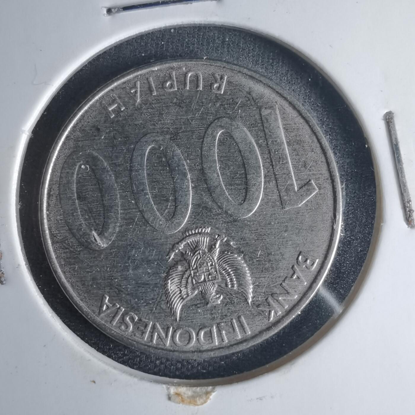 沼泽如烟--第1013场