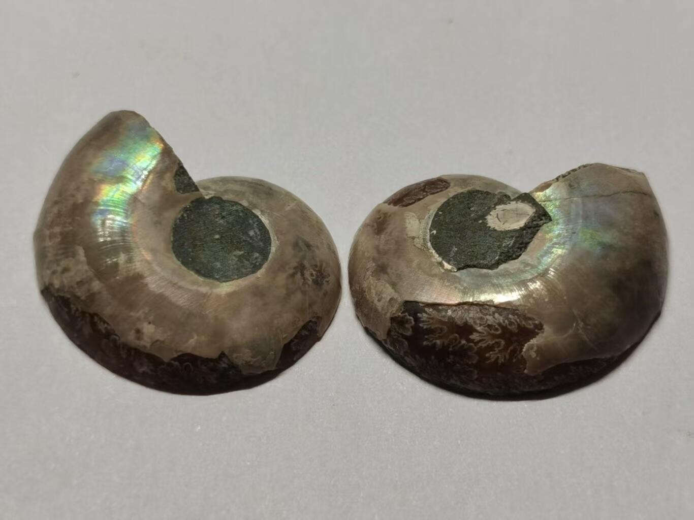 七河·世界世界币章杂件小拍（总第40期）