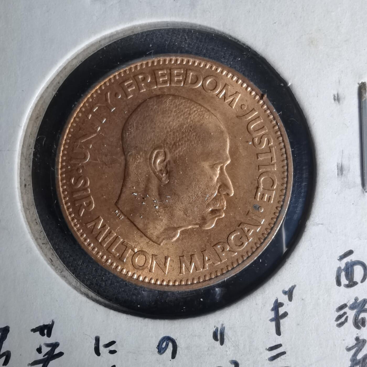 沼泽如烟--第1012场