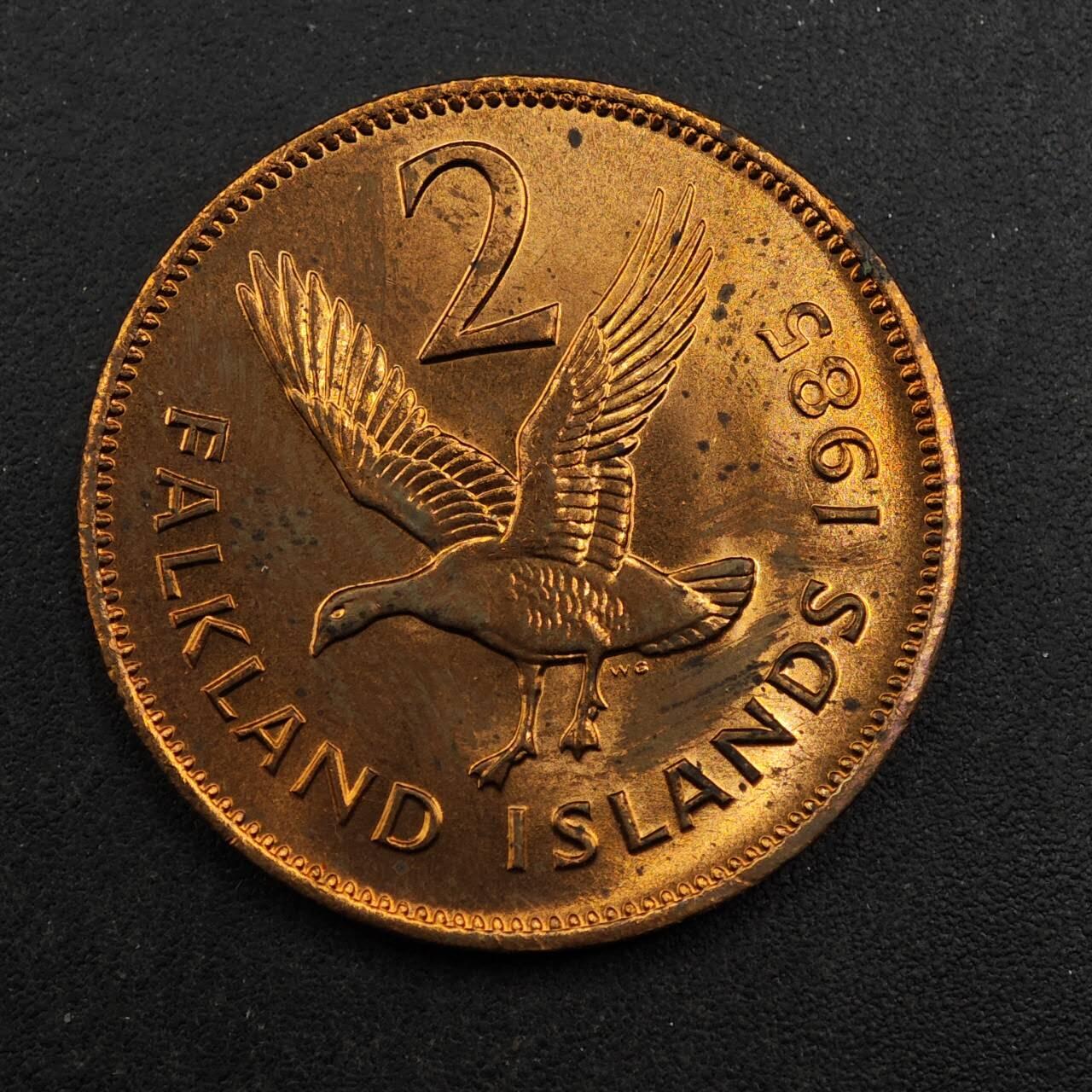 【淘币小摊】实时拍第八百七十六拍   散币场    每周一统一发货 福克兰群岛1985年天鹅2便士铜币