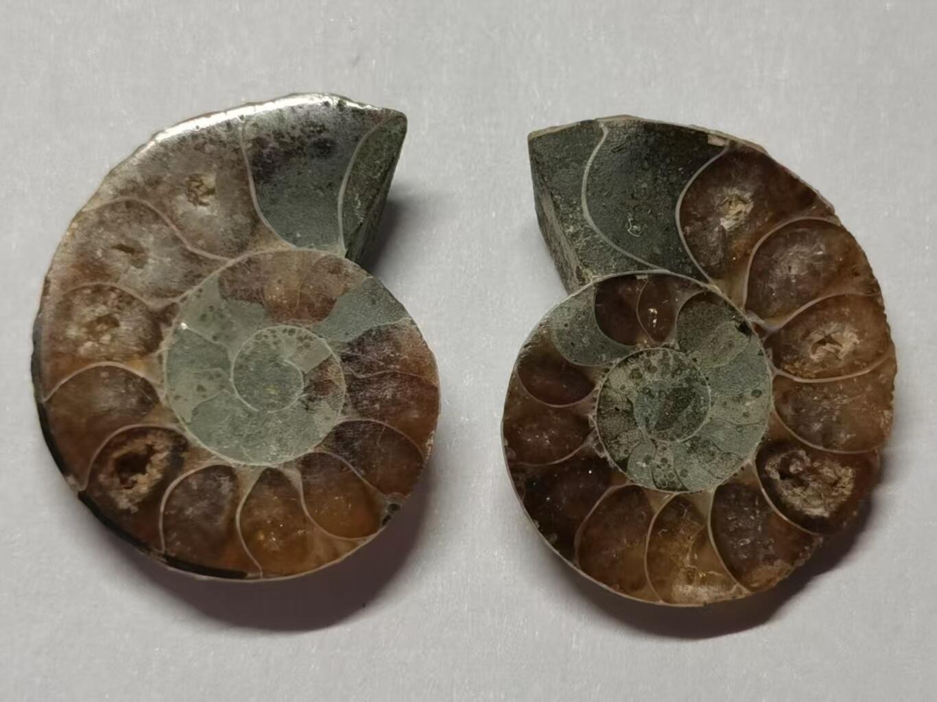 七河·世界世界币章杂件小拍（总第40期）