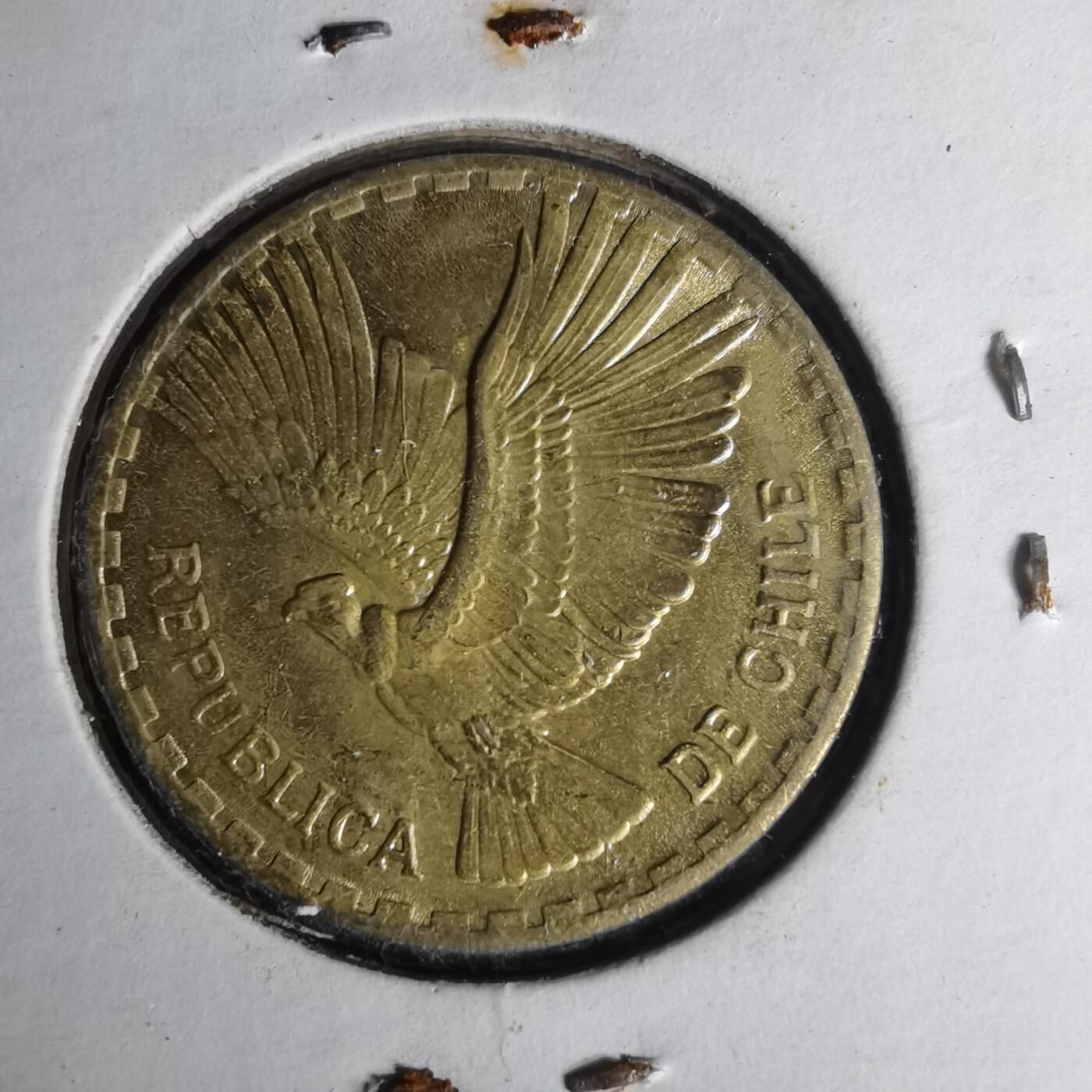 沼泽如烟--第1012场 智利1965年十分