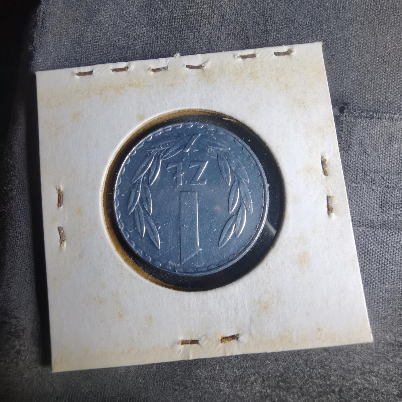 沼泽如烟--第1013场