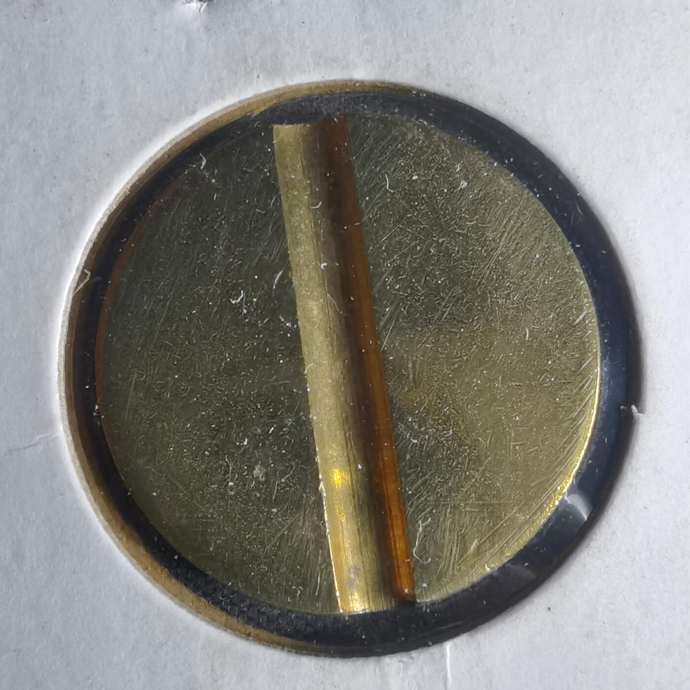 沼泽如烟--第1013场