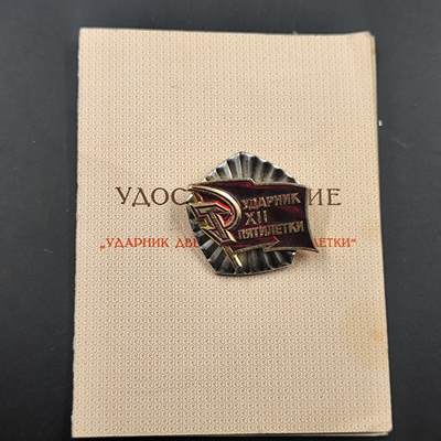 3月徽章钱币专场（明天继续更新） - 苏联第十二个五年计划劳动突击手证章