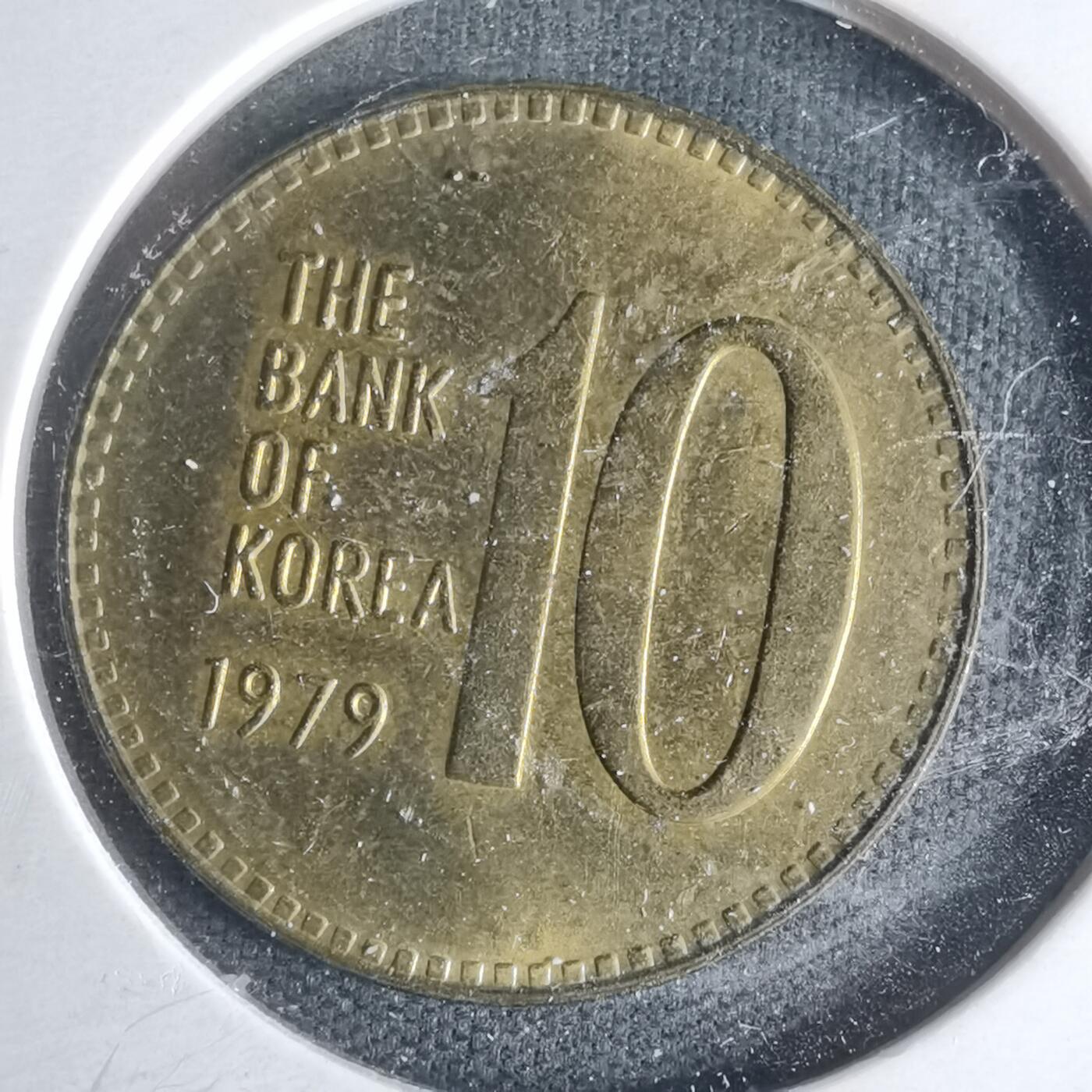 沼泽如烟--第1013场