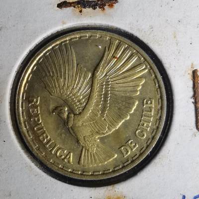 沼泽如烟--第1012场 - 智利1970年五分