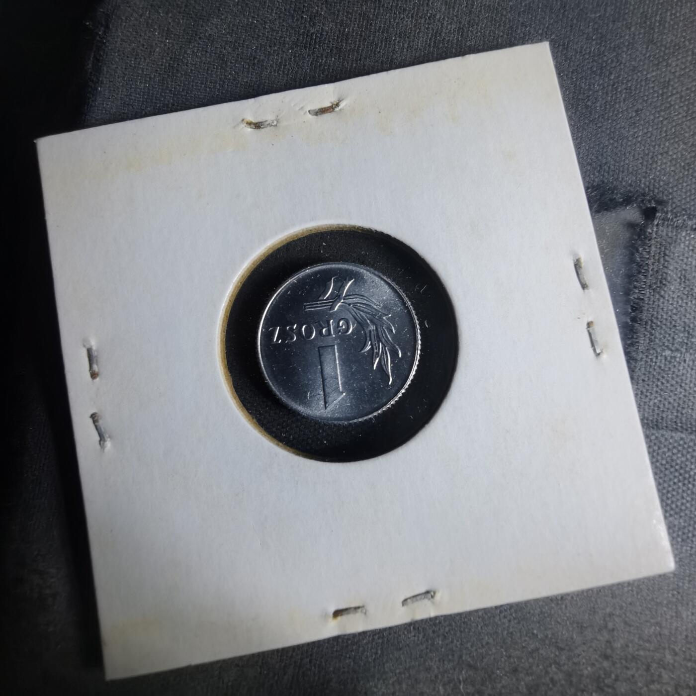 沼泽如烟--第1013场