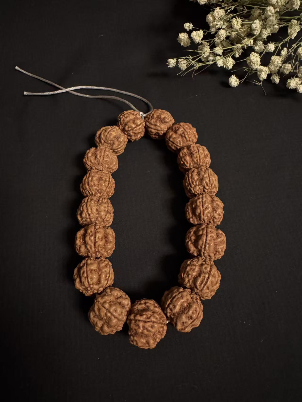 零元拍：超大超肉红皮帝王花金刚菩提手持，20MM左右