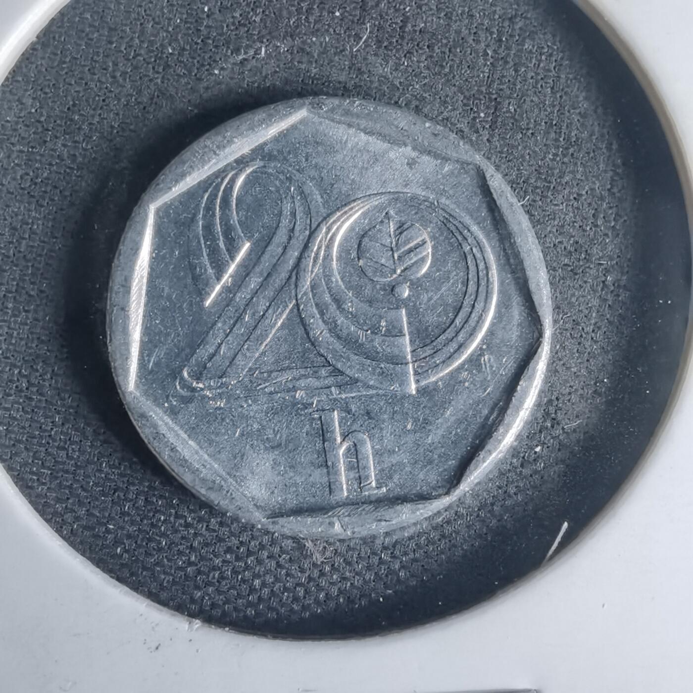 沼泽如烟--第1013场