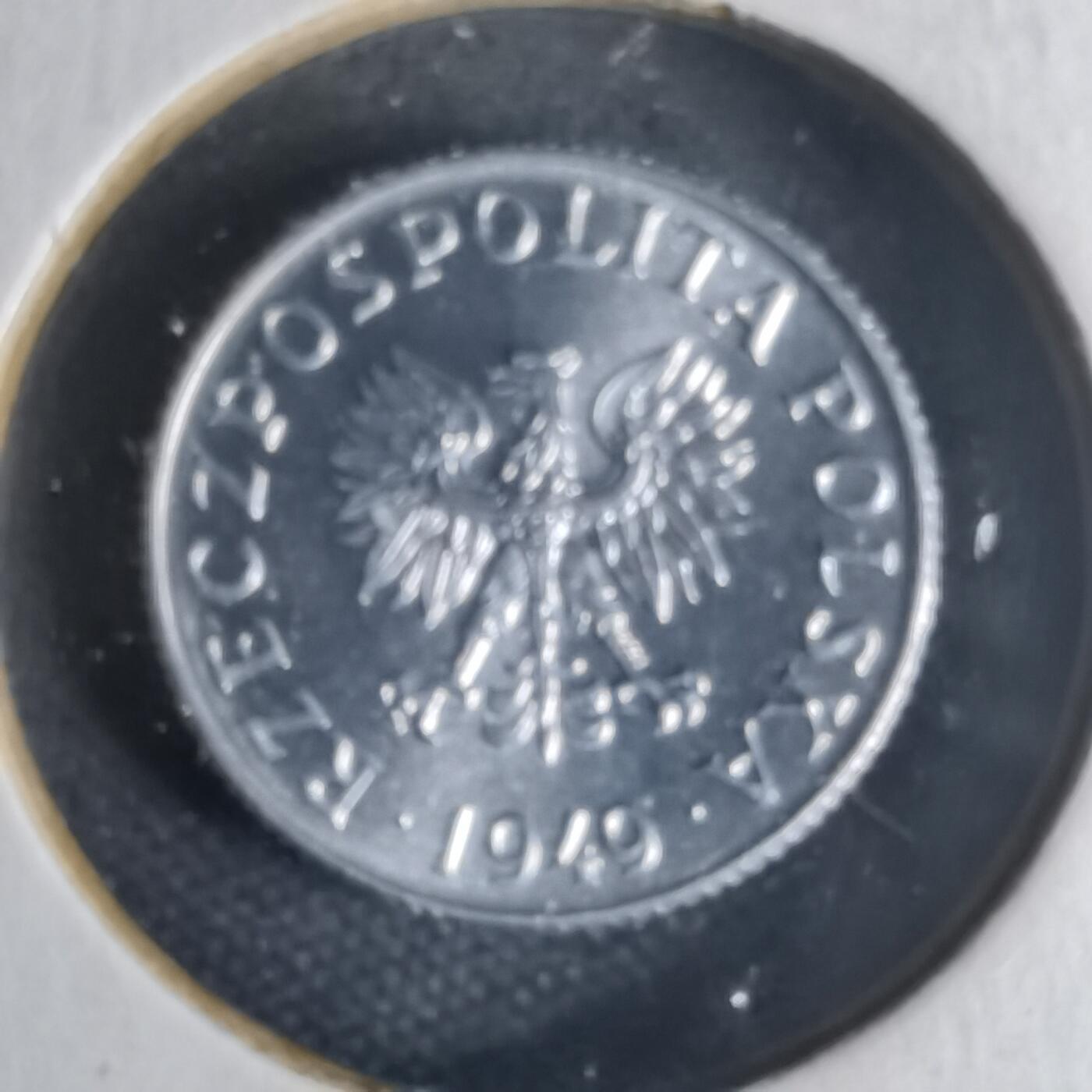 沼泽如烟--第1013场