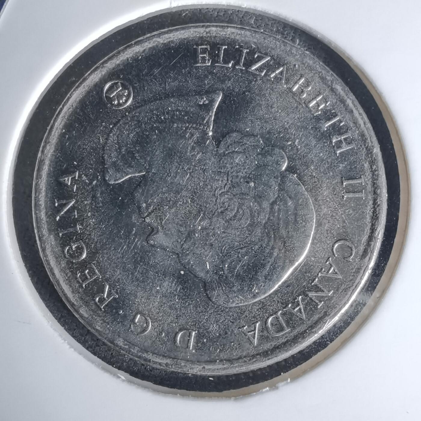 沼泽如烟--第1012场