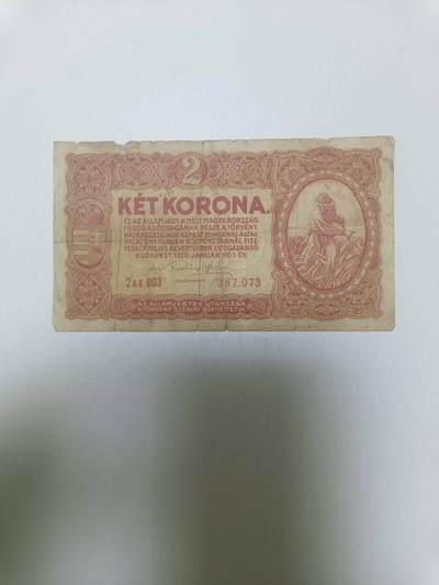 【20260306】非全新纸币和硬币第341场 - 匈牙利1920年2克朗，有裂缝