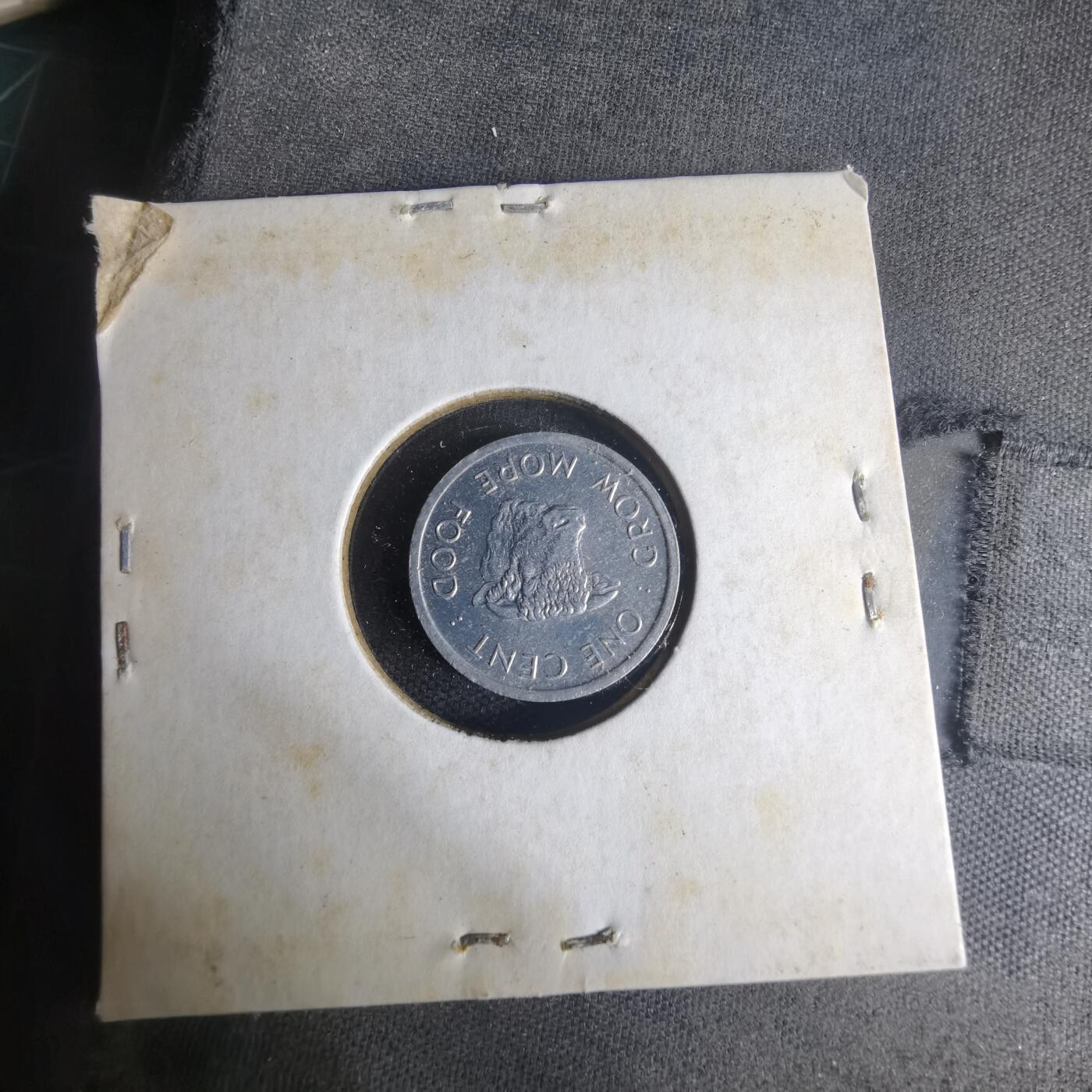 沼泽如烟--第1013场