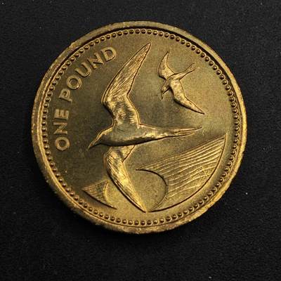 【淘币小摊】实时拍第八百七十六拍   散币场    每周一统一发货 - 圣赫勒拿1984年燕鸥1镑铜币