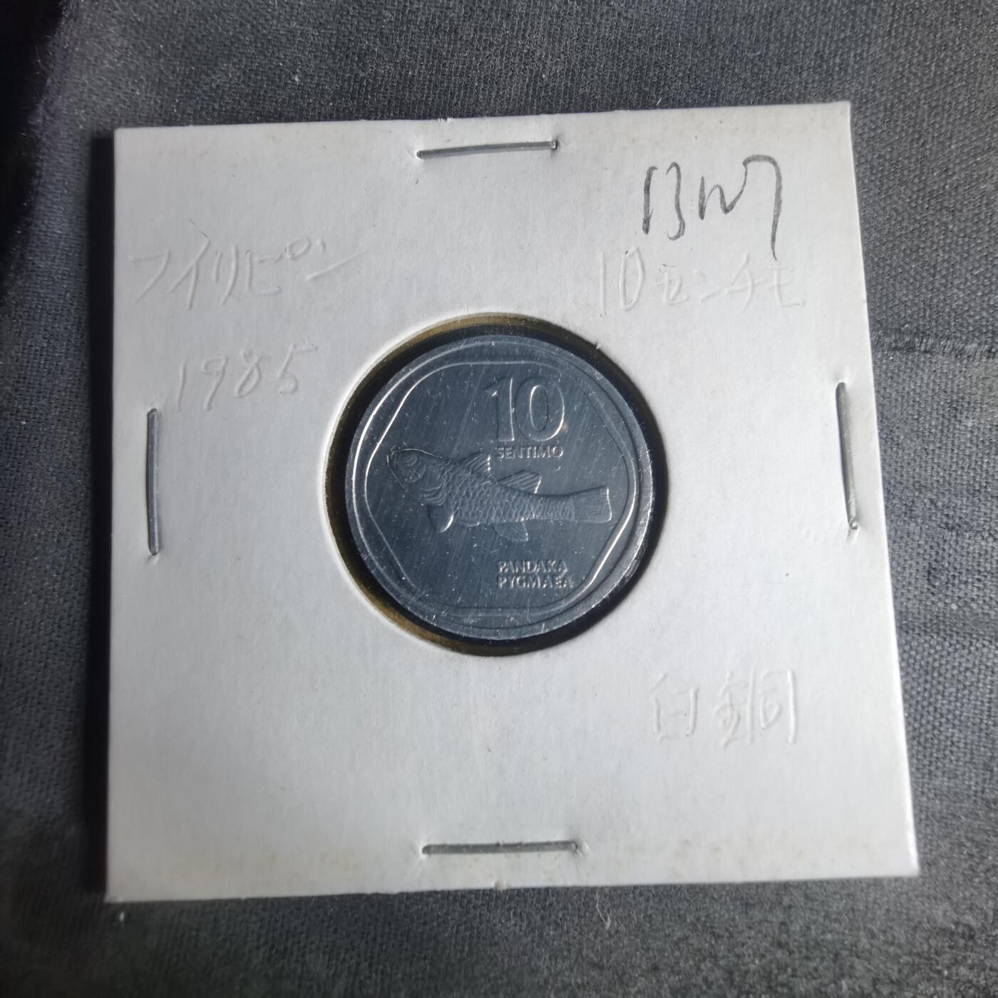 沼泽如烟--第1013场