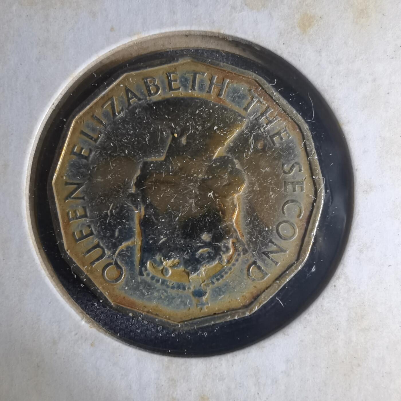 沼泽如烟--第1013场