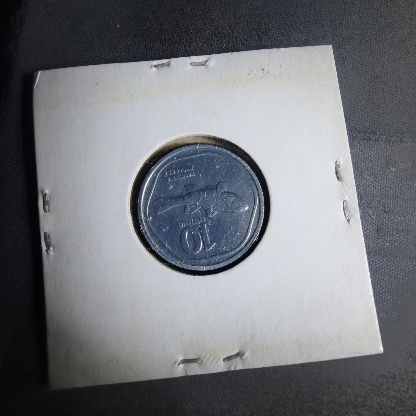 沼泽如烟--第1013场