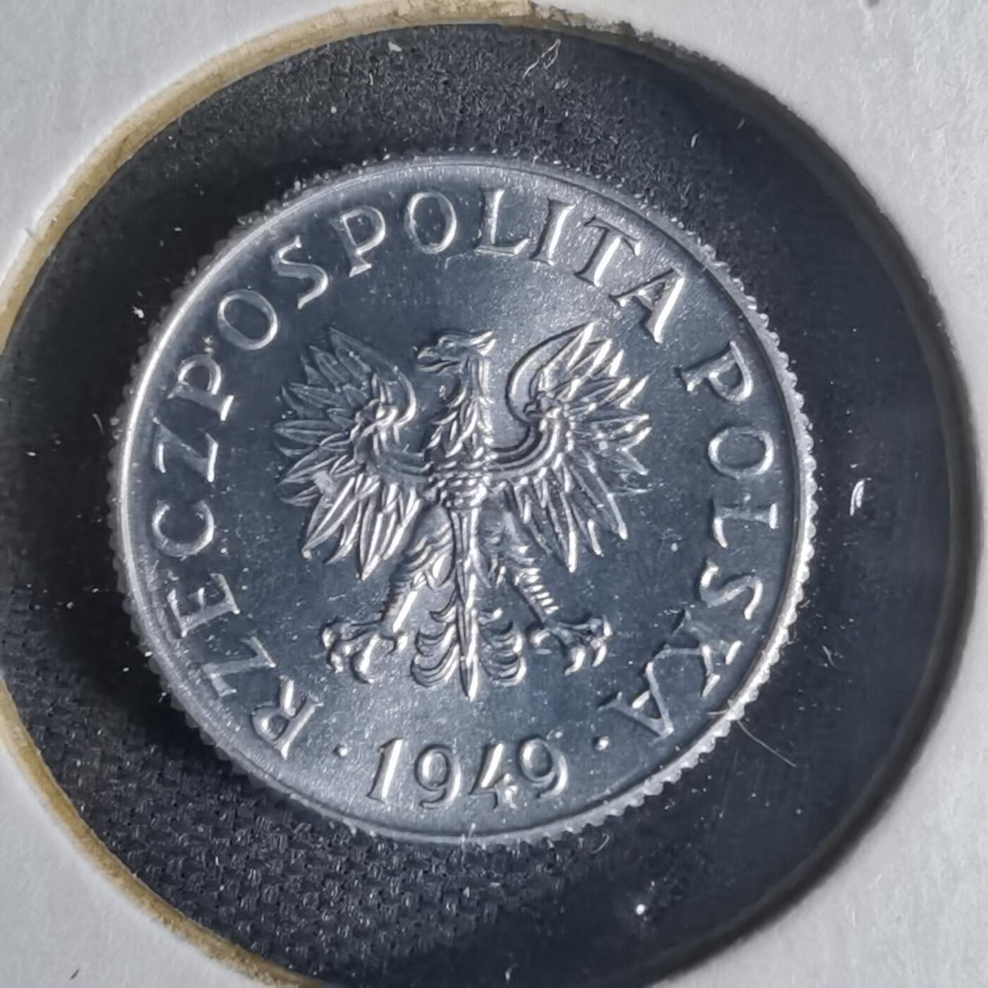 沼泽如烟--第1013场