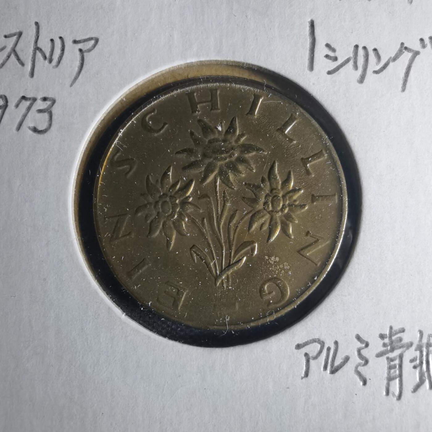 沼泽如烟--第1013场