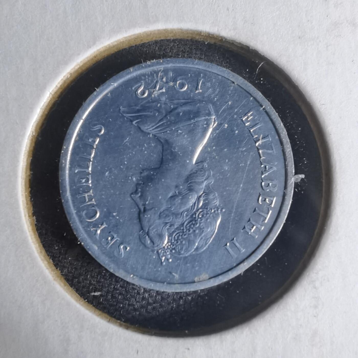 沼泽如烟--第1013场