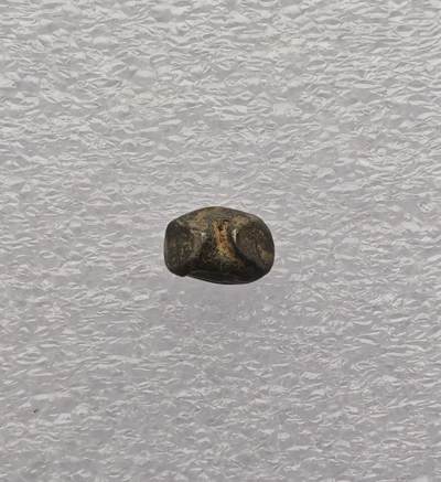 瓶子🏺第231期拍卖会 泰国素可泰王朝象形海螺图案屁股锭银锭