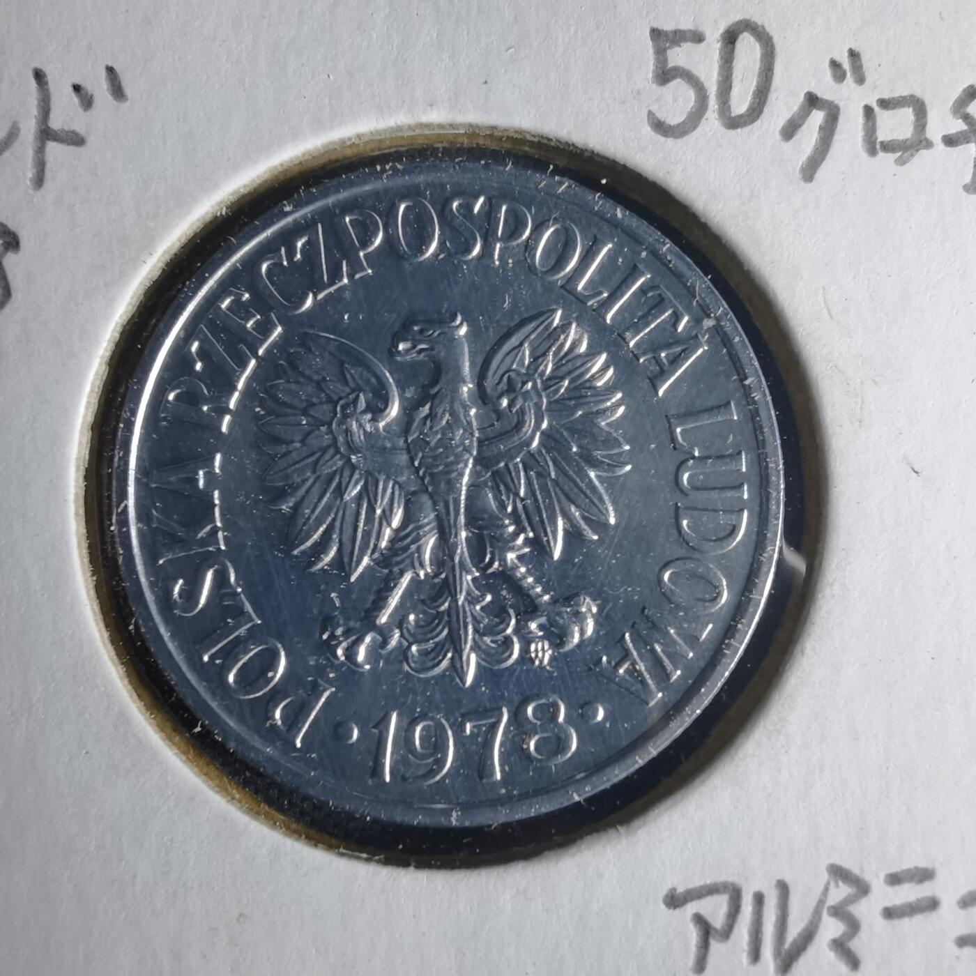 沼泽如烟--第1013场