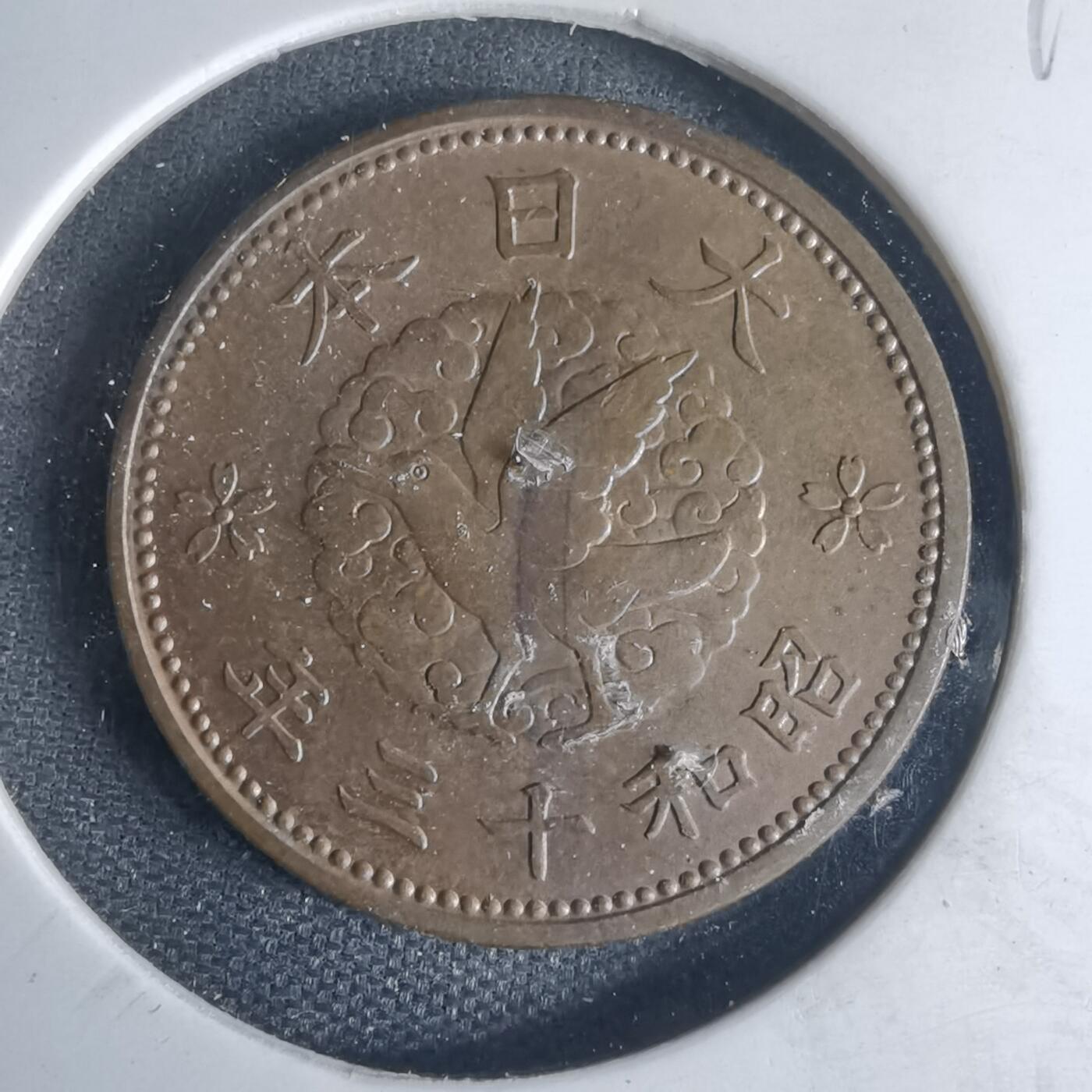 沼泽如烟--第1013场