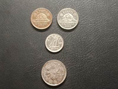荟藏特别场次第五期——“社长的钢镚堆” - 加拿大硬币批量四枚