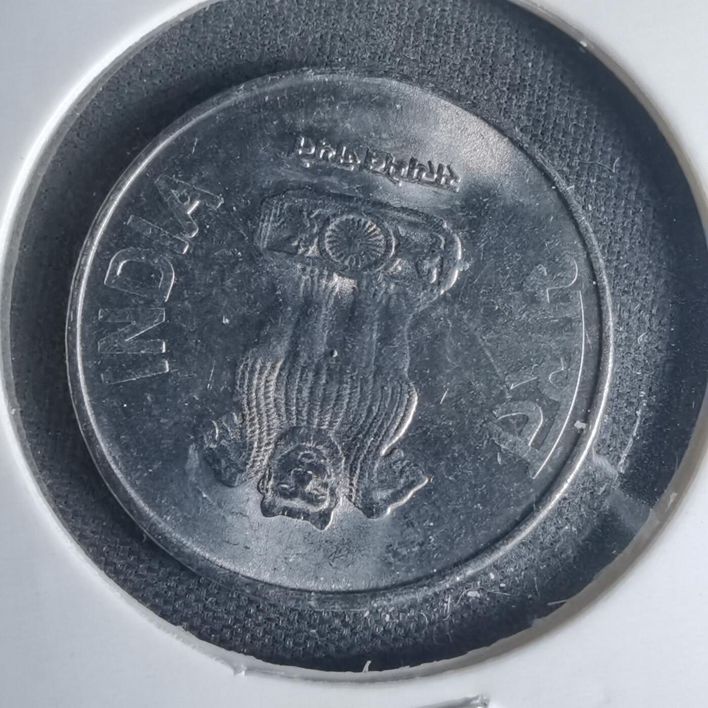 沼泽如烟--第1013场