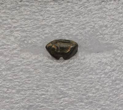 瓶子🏺第231期拍卖会 泰国素可泰王朝象形海螺图案屁股锭银锭