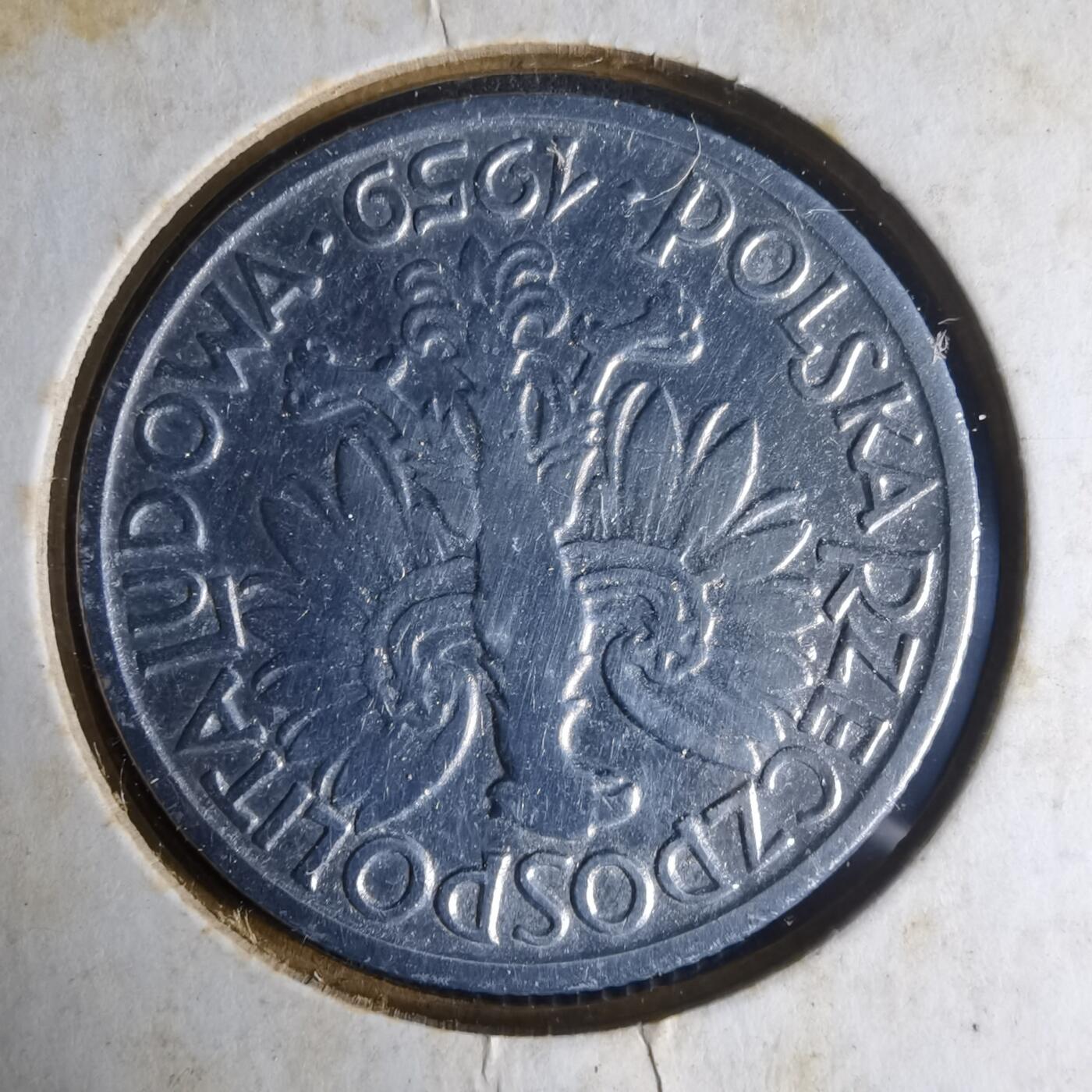 沼泽如烟--第1013场