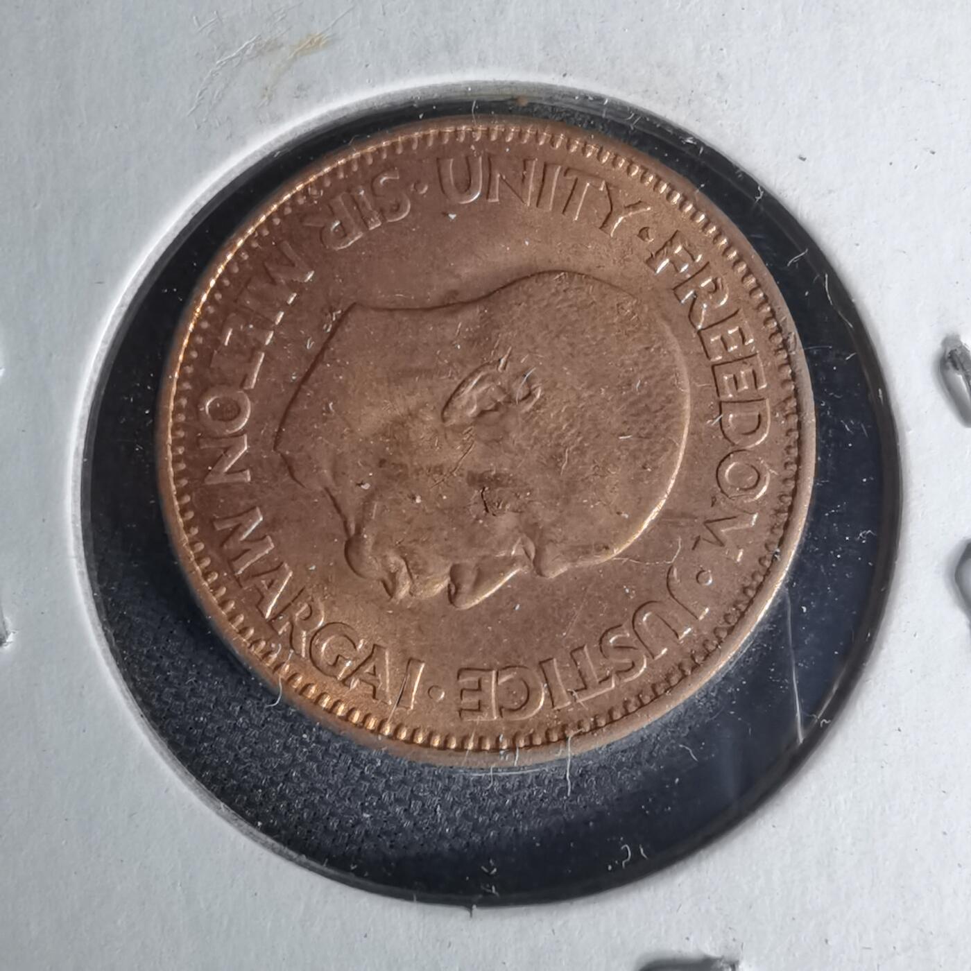 沼泽如烟--第1012场