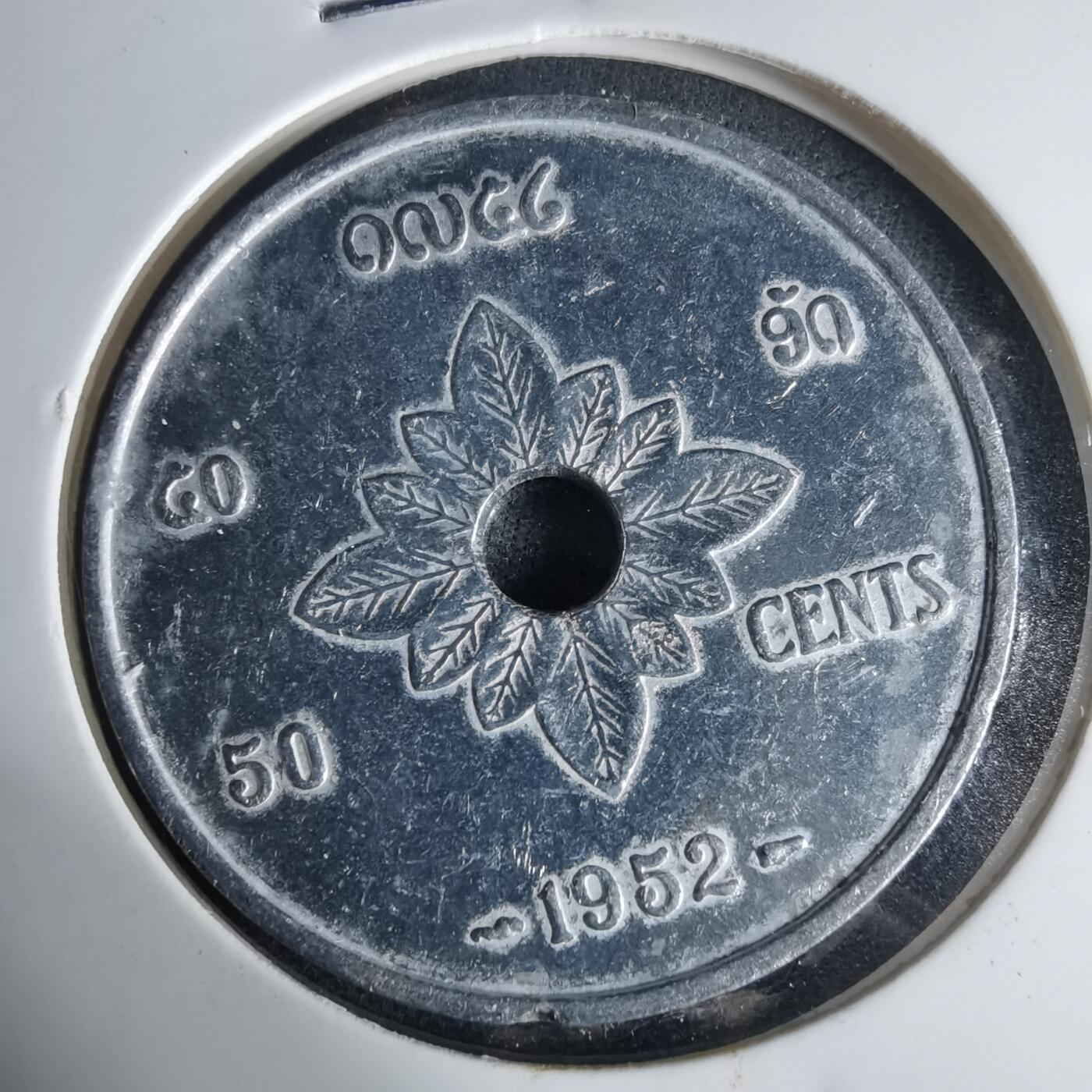 沼泽如烟--第1013场