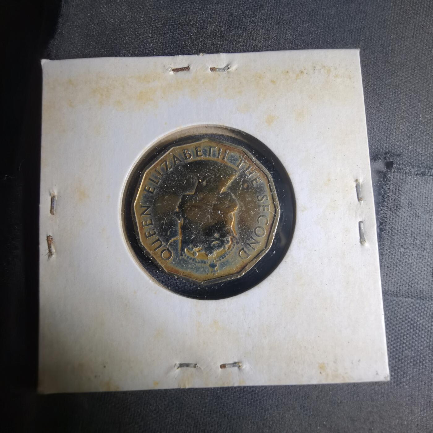 沼泽如烟--第1013场