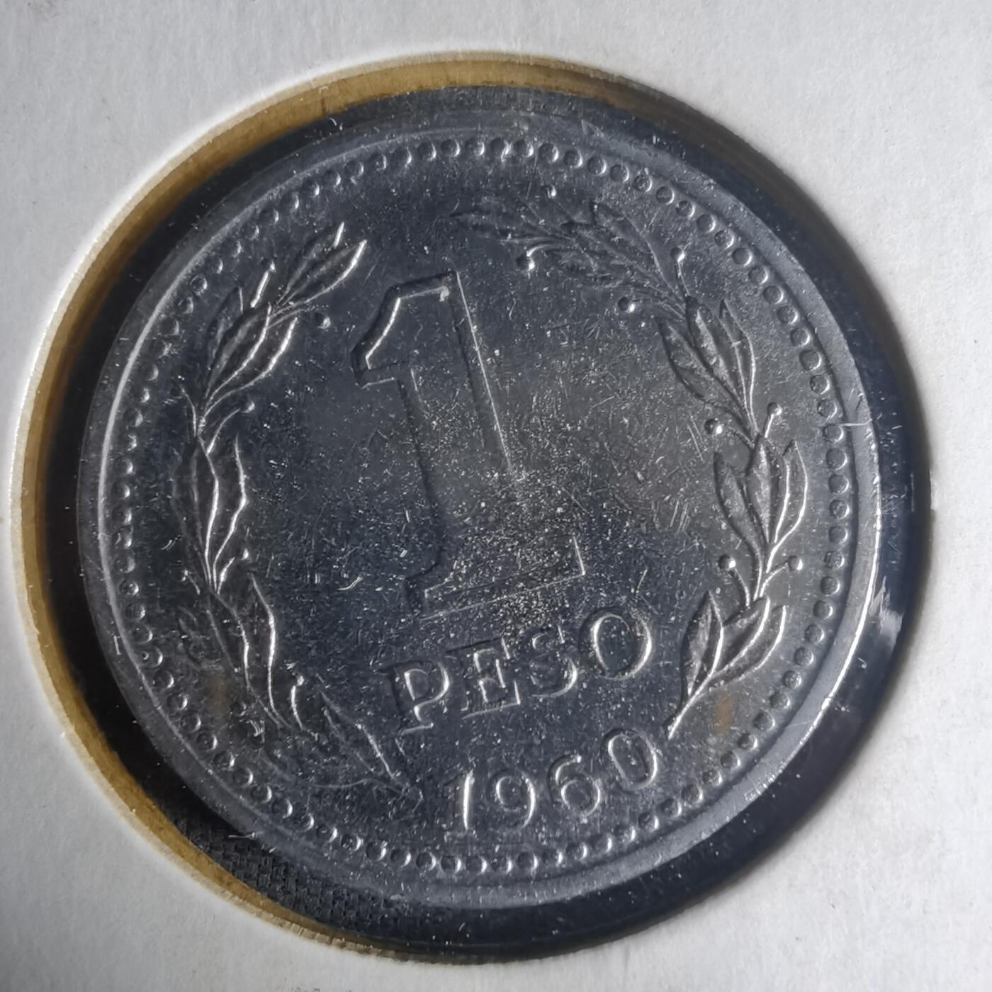 沼泽如烟--第1013场